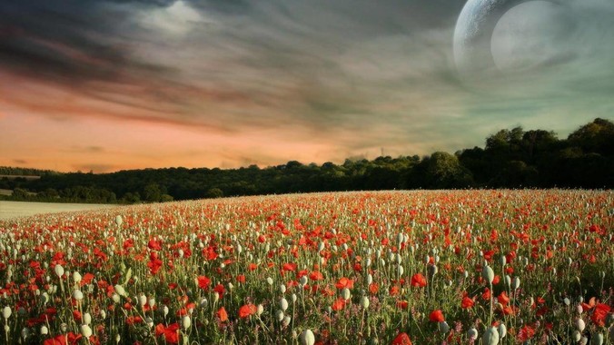 请问群晖的docker还能装些什么?